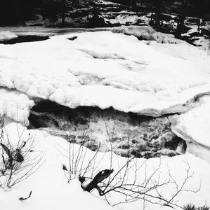 Meet your Posher, Panda